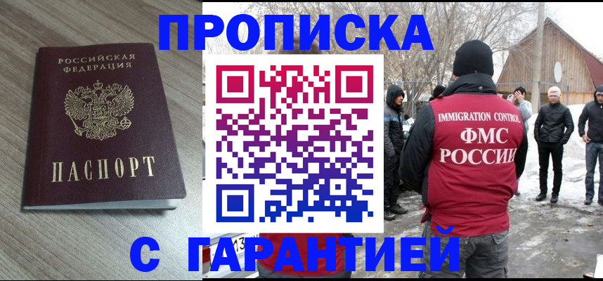 прописка 2025 в Дмитрове