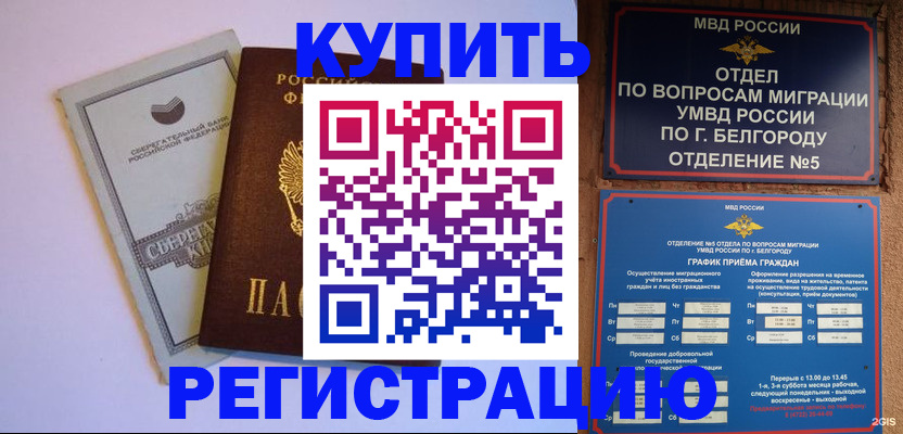 прописка гарантия в Дмитрове
